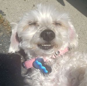 Meet your Posher, Shazell